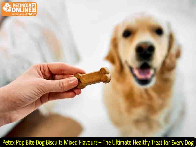 Petex Pop Bite Dog Biscuits Mixed Flavours – The Ultimate Healthy Treat for Every Dog