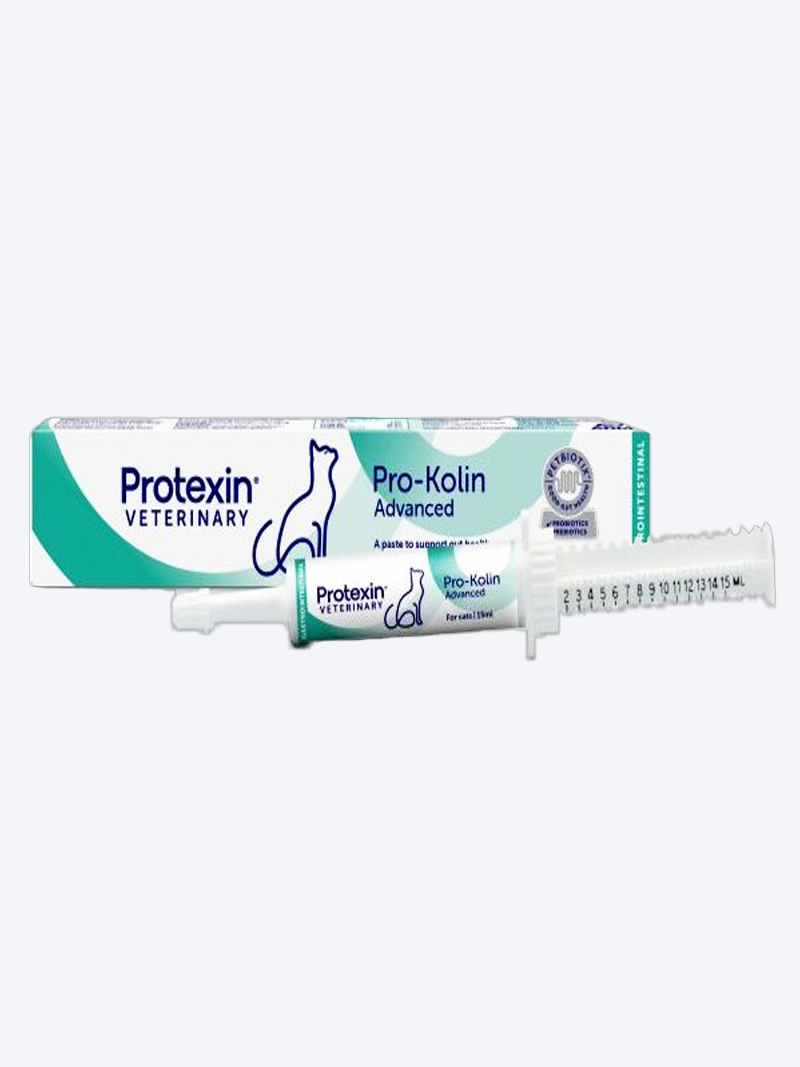 Buy Pro-Kolin 15ml – Probiotic & Prebiotic Paste for Dogs & Cats | Petindiaonline.com