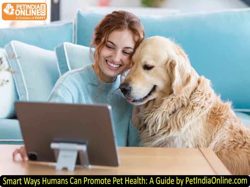 Smart Ways Humans Can Promote Pet Health: A Guide by PetIndiaOnline.com