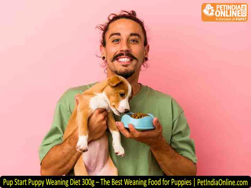 Pup Start Puppy Weaning Diet 300g – The Best Weaning Food for Puppies | PetIndiaOnline.com