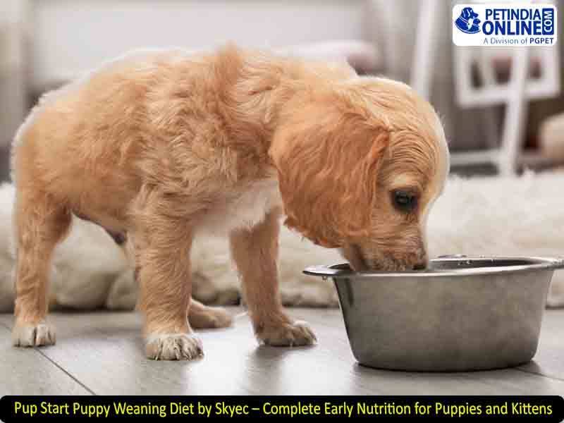 Pup Start Puppy Weaning Diet by Skyec – Complete Early Nutrition for Puppies and Kittens