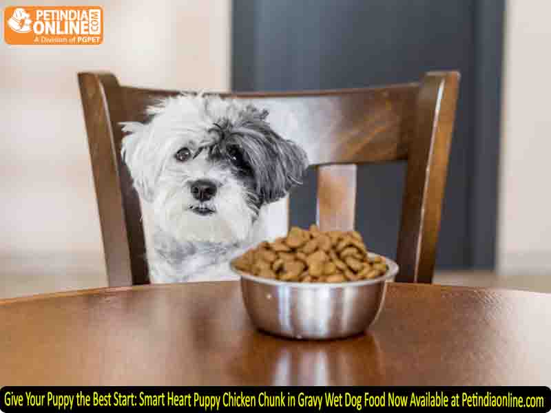 Give Your Puppy the Best Start: Smart Heart Puppy Chicken Chunk in Gravy Wet Dog Food Now Available at Petindiaonline.com