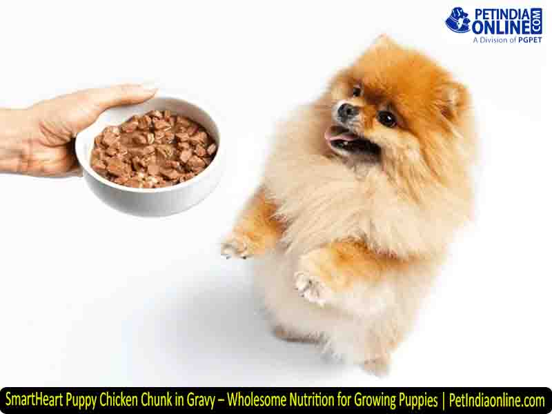 SmartHeart Puppy Chicken Chunk in Gravy – Wholesome Nutrition for Growing Puppies | PetIndiaonline.com