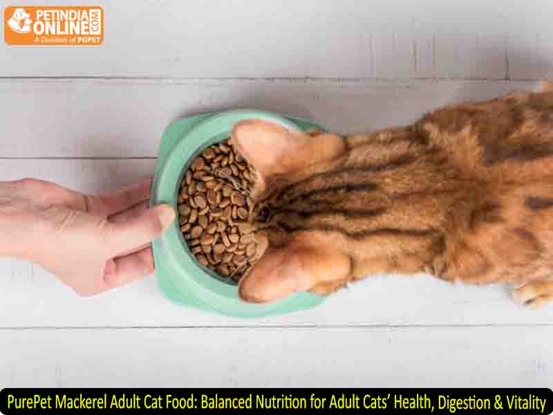 PurePet Mackerel Adult Cat Food: Balanced Nutrition for Adult Cats’ Health, Digestion & Vitality