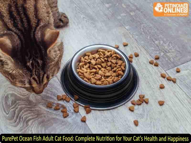 PurePet Ocean Fish Adult Cat Food: Complete Nutrition for Your Cat’s Health and Happiness