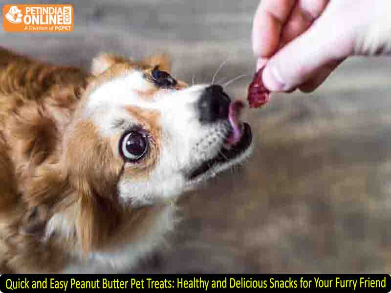 Quick and Easy Peanut Butter Pet Treats: Healthy and Delicious Snacks for Your Furry Friend