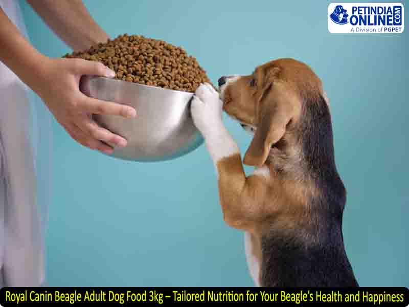 Royal Canin Beagle Adult Dog Food 3kg – Tailored Nutrition for Your Beagle’s Health and Happiness