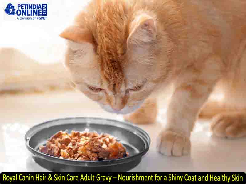 Royal Canin Hair & Skin Care Adult Gravy – Nourishment for a Shiny Coat and Healthy Skin
