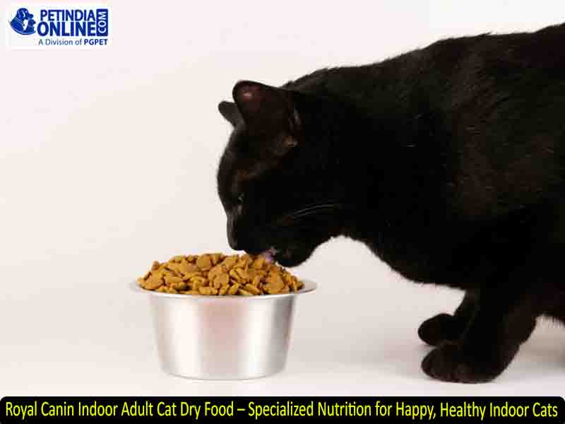 Royal Canin Indoor Adult Cat Dry Food – Specialized Nutrition for Happy, Healthy Indoor Cats