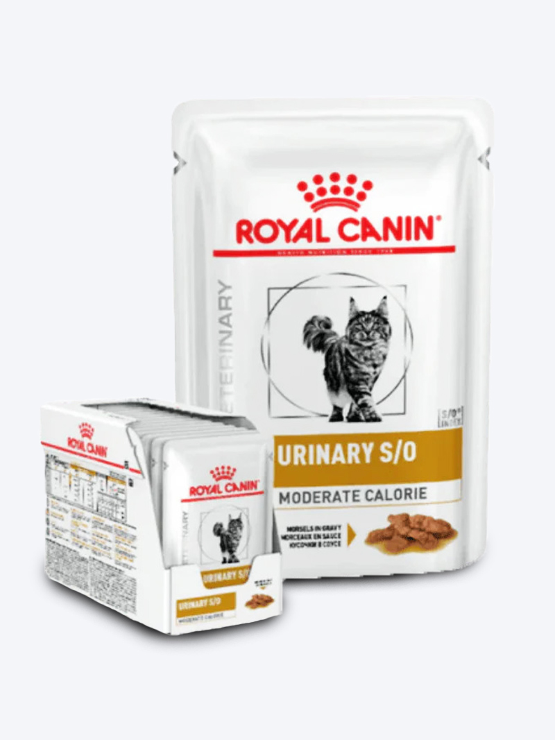 Royal Canin Urinary S/O Wet Cat Food Pouch 85g | Urinary Care Diet
