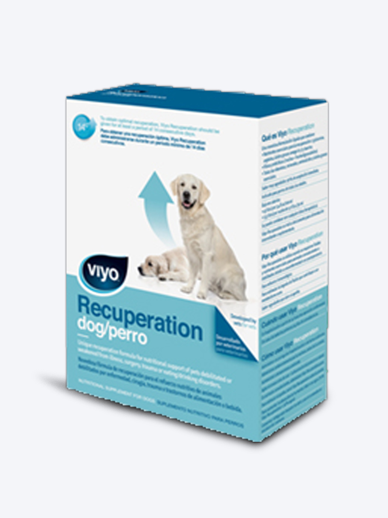 Buy Viyo Recuperation Dog Syrup 150ml Online at Petindiaonline.com | Nutritional Support for Recovery