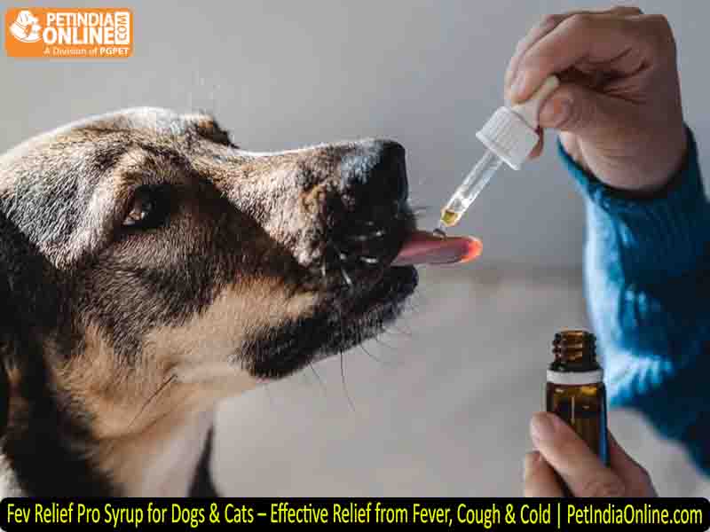 Fev Relief Pro Syrup for Dogs & Cats – Effective Relief from Fever, Cough & Cold | PetIndiaOnline.com