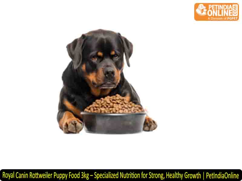 Royal Canin Rottweiler Puppy Food 3kg – Specialized Nutrition for Strong, Healthy Growth | PetIndiaOnline