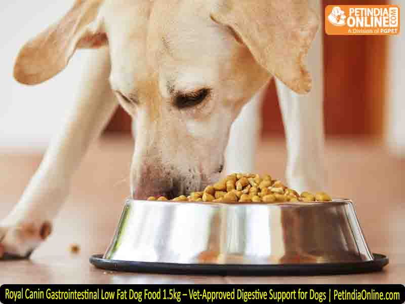 Royal Canin Gastrointestinal Low Fat Dog Food 1.5kg – Vet-Approved Digestive Support for Dogs | PetIndiaOnline.com