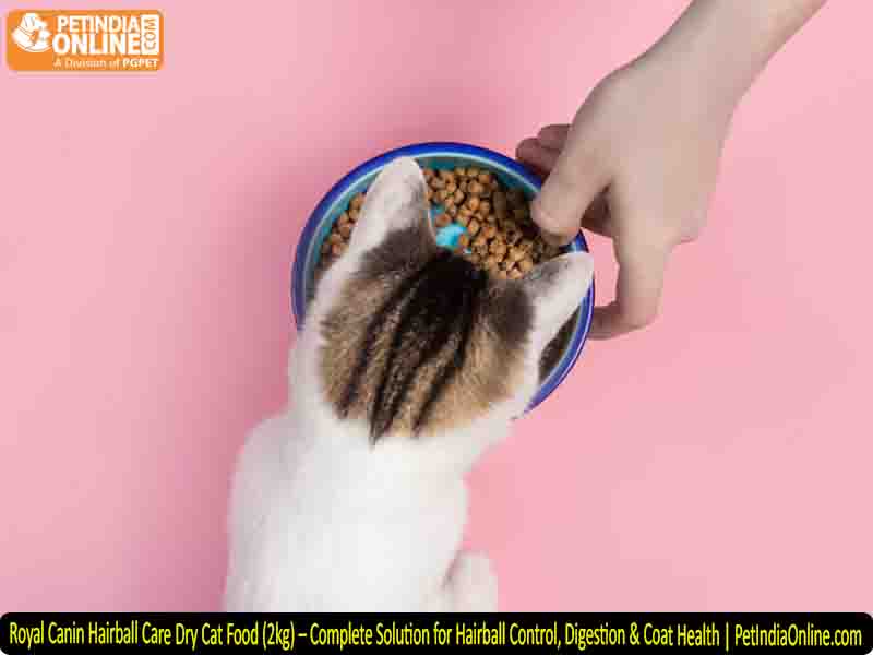 Royal Canin Hairball Care Dry Cat Food (2kg) – Complete Solution for Hairball Control, Digestion & Coat Health | PetIndiaOnline.com