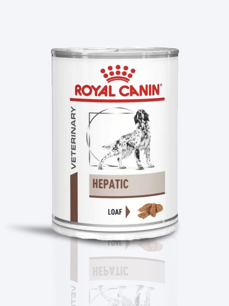 Royal Canin Hepatic Wet Dog Food 420g | Liver Care Diet for Dogs