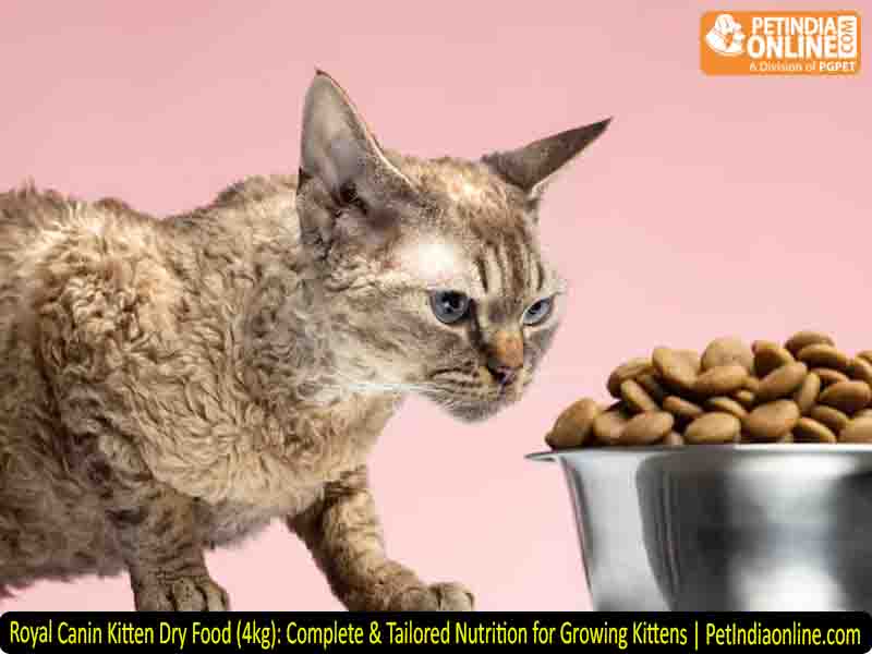 Royal Canin Kitten Dry Food (4kg): Complete & Tailored Nutrition for Growing Kittens | PetIndiaonline.com