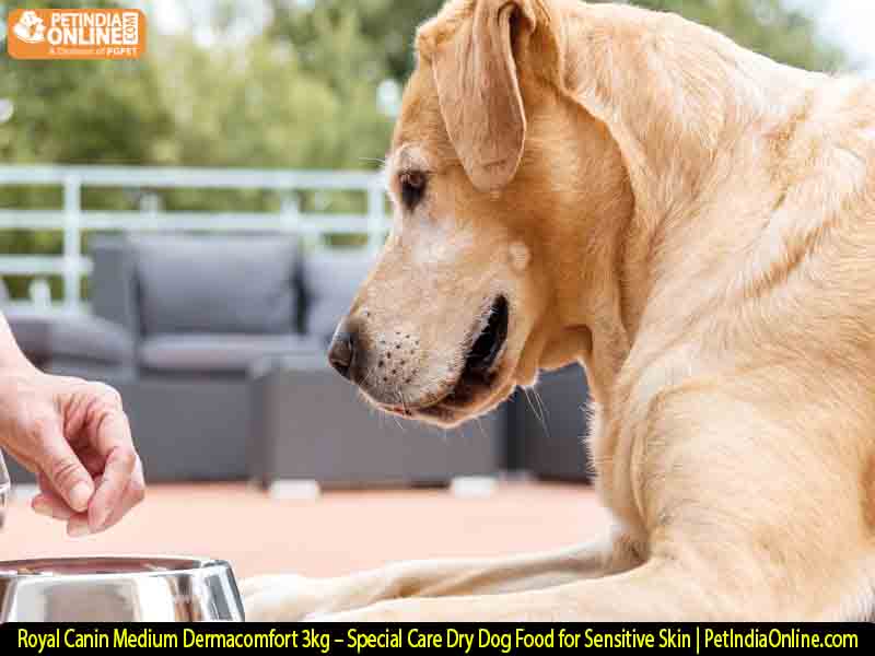 Royal Canin Medium Dermacomfort 3kg – Special Care Dry Dog Food for Sensitive Skin | PetIndiaOnline.com