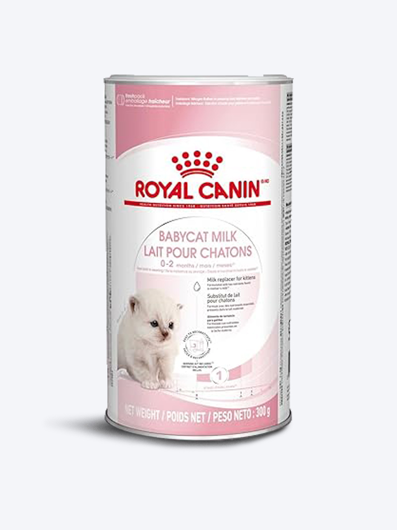 Royal Canin Baby cat Milk Powder for Kittens (300 gm) | PetIndiaOnline