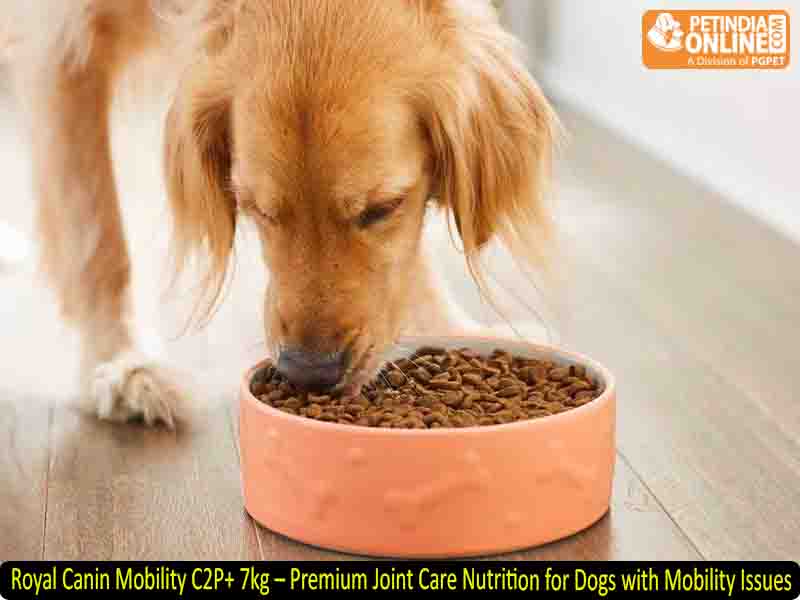 Royal Canin Mobility C2P+ 7kg – Premium Joint Care Nutrition for Dogs with Mobility Issues