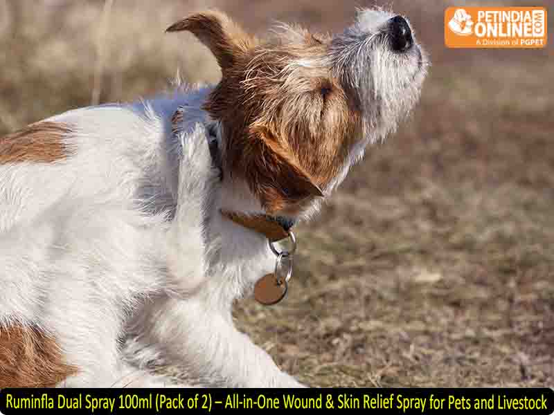Ruminfla Dual Spray 100ml (Pack of 2) – All-in-One Wound & Skin Relief Spray for Pets and Livestock