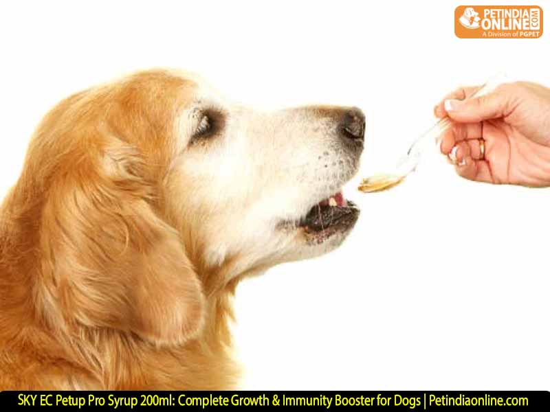 SKY EC Petup Pro Syrup 200ml: Complete Growth & Immunity Booster for Dogs | Petindiaonline.com