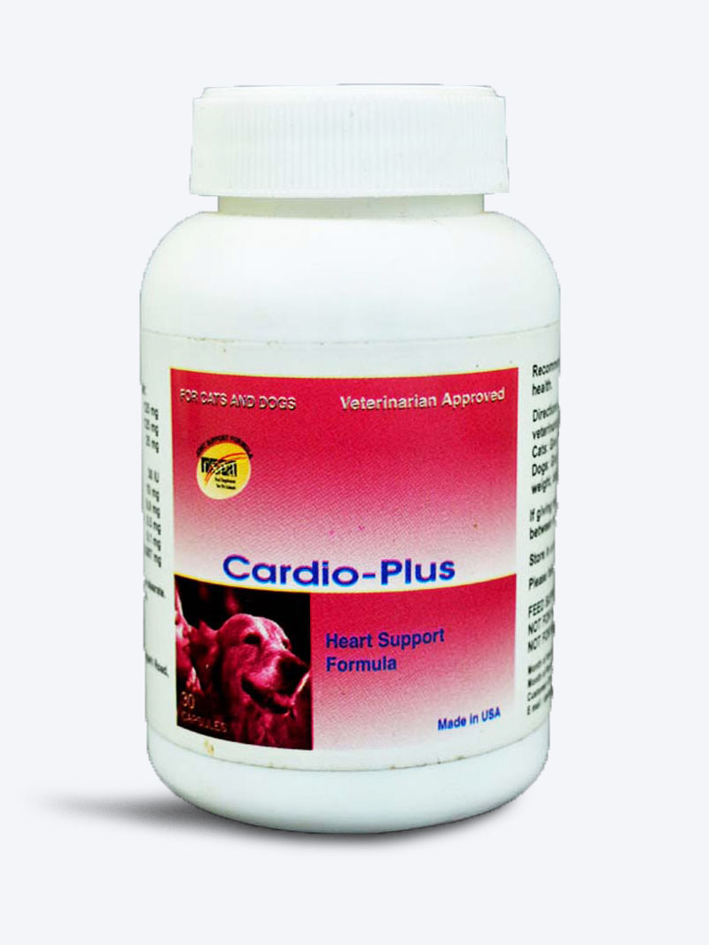 Saitrayaa Cardio Plus, heart health supplement pets, cardiovascular support dogs, cat heart health, pet heart care tablets, circulatory support for pets, Saitrayaa tablets, pet heart supplement