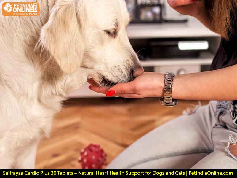 Saitrayaa Cardio Plus 30 Tablets – Natural Heart Health Support for Dogs and Cats | PetIndiaOnline.com