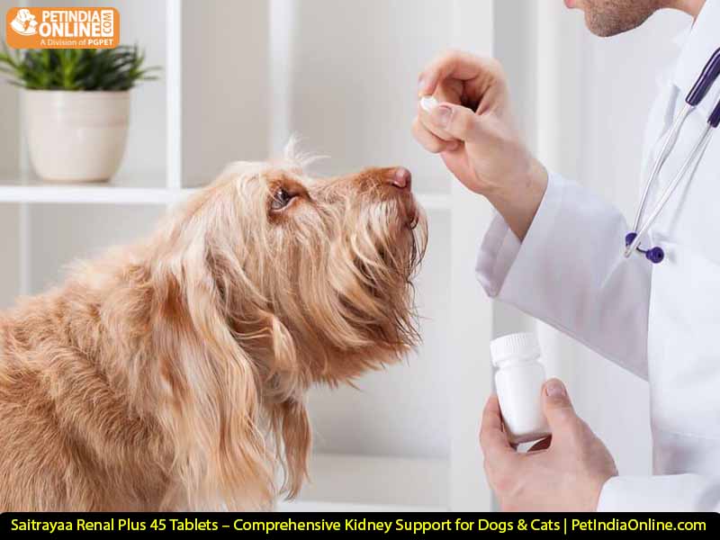 Saitrayaa Renal Plus 45 Tablets – Comprehensive Kidney Support for Dogs & Cats | PetIndiaOnline.com