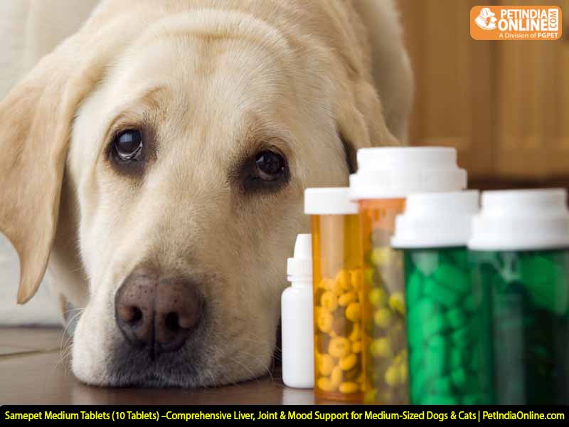 Samepet Medium Tablets (10 Tablets) –Comprehensive Liver, Joint & Mood Support for Medium-Sized Dogs & Cats | PetIndiaOnline.com