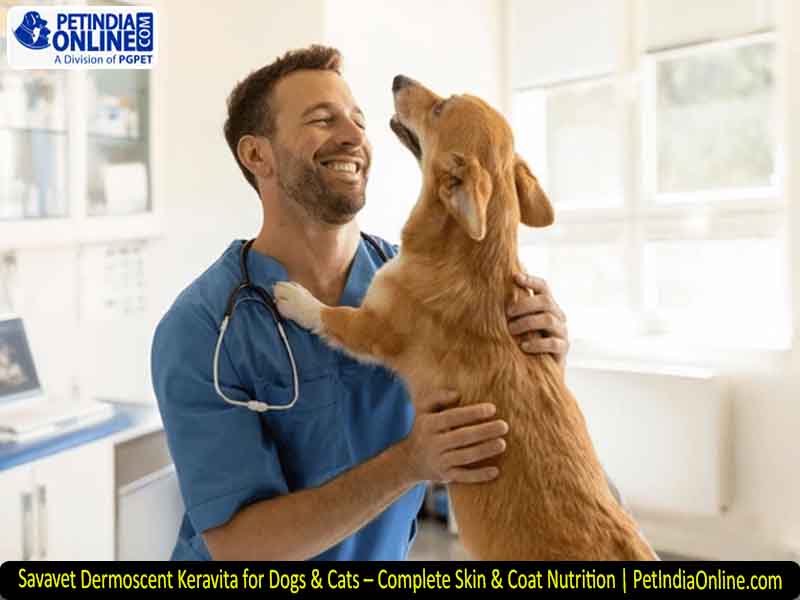 Savavet Dermoscent Keravita for Dogs & Cats – Complete Skin & Coat Nutrition | PetIndiaOnline.com