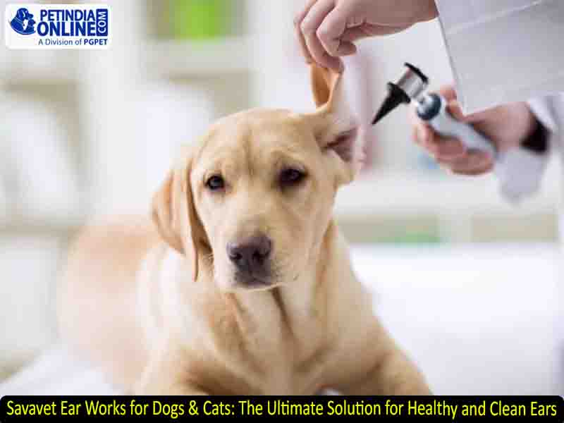 Savavet Ear Works for Dogs & Cats: The Ultimate Solution for Healthy and Clean Ears