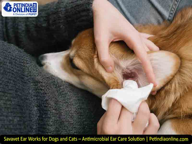 Savavet Ear Works for Dogs and Cats – Antimicrobial Ear Care Solution | Petindiaonline.com