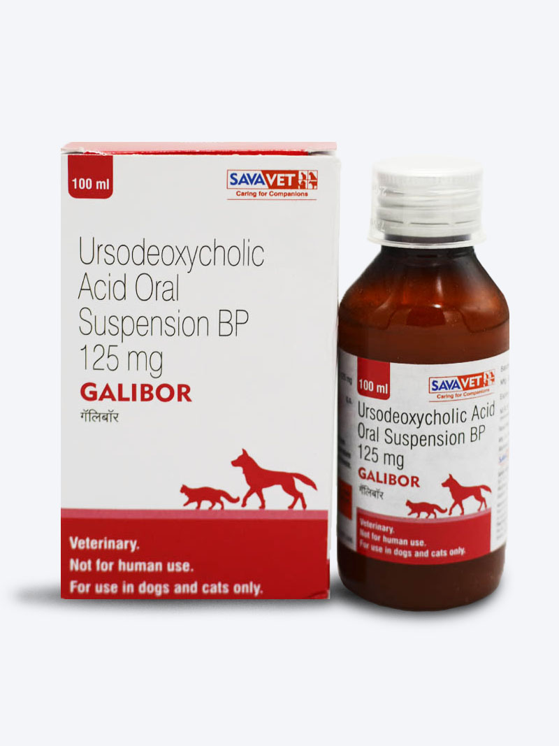 Buy Savavet Galibor Oral Suspension 125mg for Dogs & Cats | Petindiaonline.com