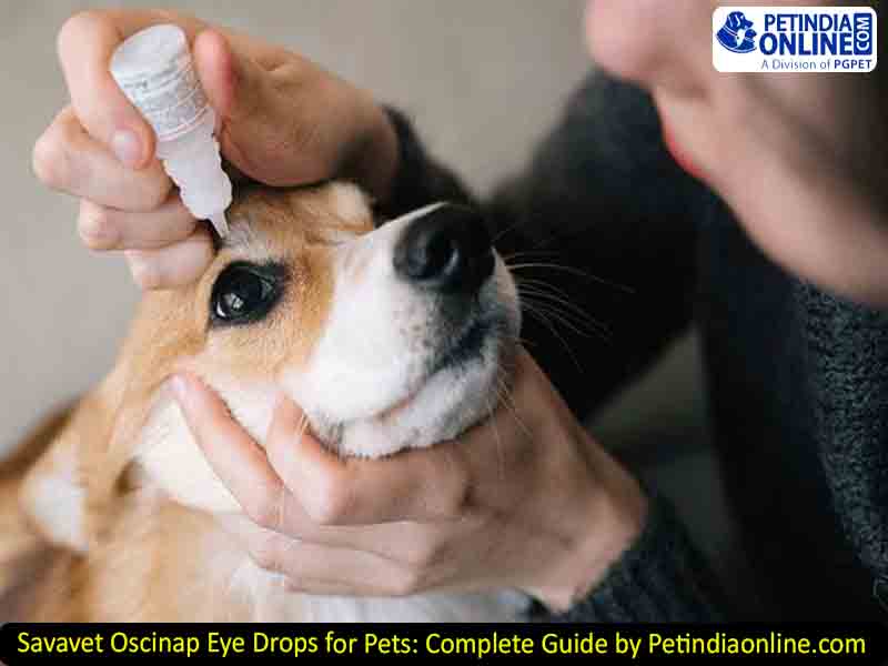 Savavet Oscinap Eye Drops for Pets: Complete Guide by Petindiaonline.com