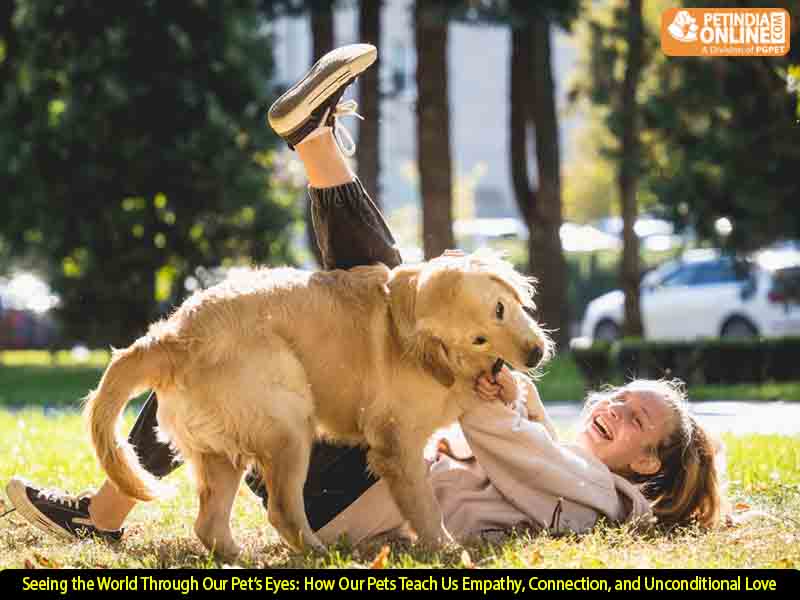 Seeing the World Through Our Pet’s Eyes: How Our Pets Teach Us Empathy, Connection, and Unconditional Love