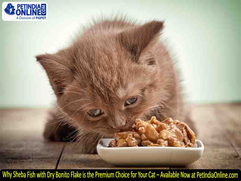 Why Sheba Fish with Dry Bonito Flake is the Premium Choice for Your Cat – Available Now at PetIndiaOnline.com
