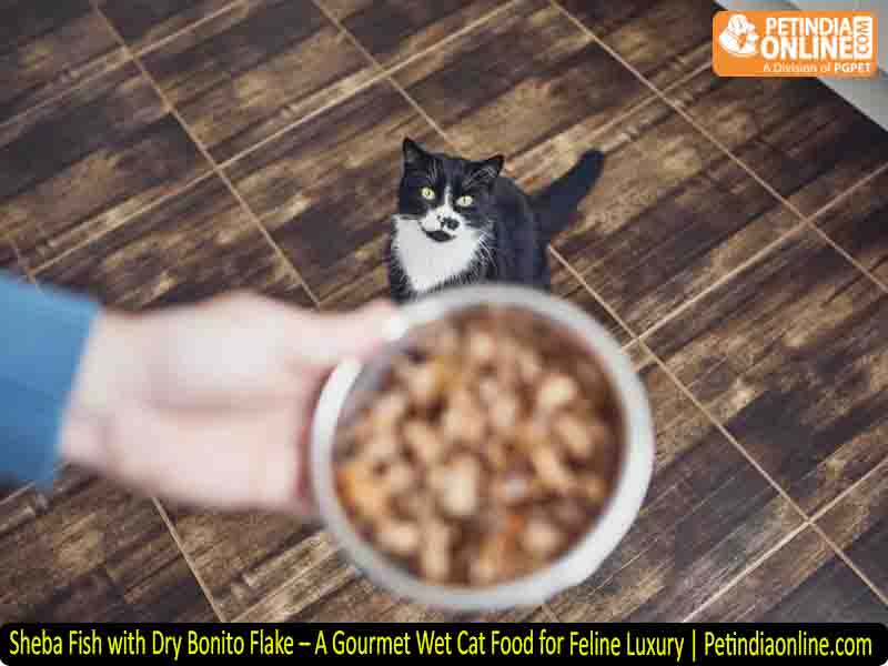 Sheba Fish with Dry Bonito Flake – A Gourmet Wet Cat Food for Feline Luxury | Petindiaonline.com