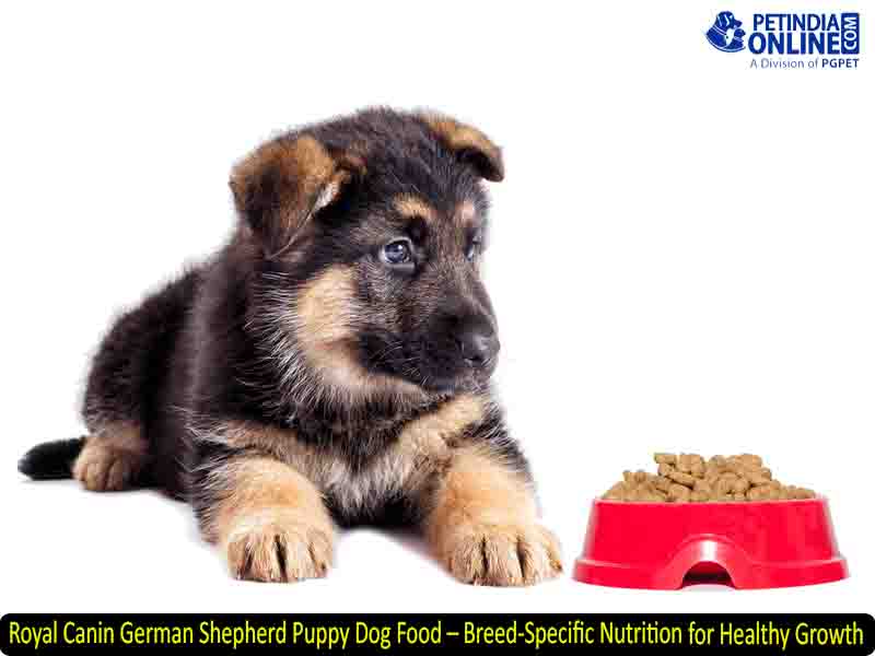 Royal Canin German Shepherd Puppy Dog Food – Breed-Specific Nutrition for Healthy Growth