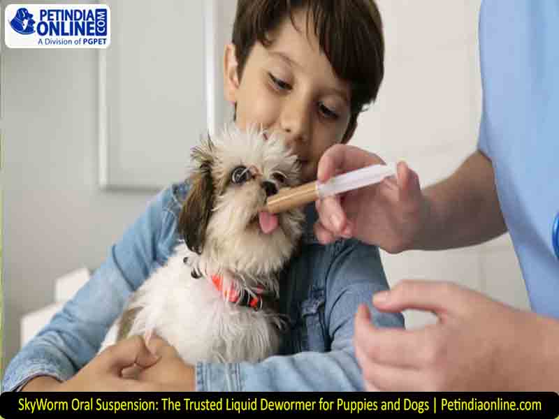 SkyWorm Oral Suspension: The Trusted Liquid Dewormer for Puppies and Dogs | Petindiaonline.com