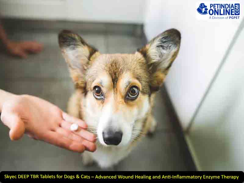 Skyec DEEP TBR Tablets for Dogs & Cats – Advanced Wound Healing and Anti-Inflammatory Enzyme Therapy
