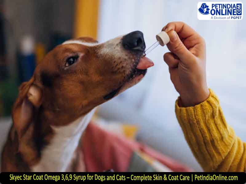 Skyec Star Coat Omega 3,6,9 Syrup for Dogs and Cats – Complete Skin & Coat Care | PetIndiaOnline.com