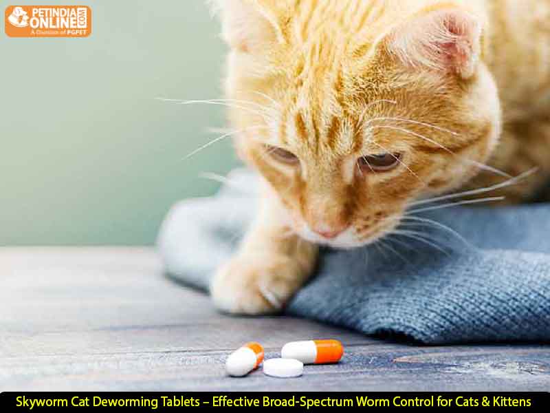 Skyworm Cat Deworming Tablets – Effective Broad-Spectrum Worm Control for Cats & Kittens