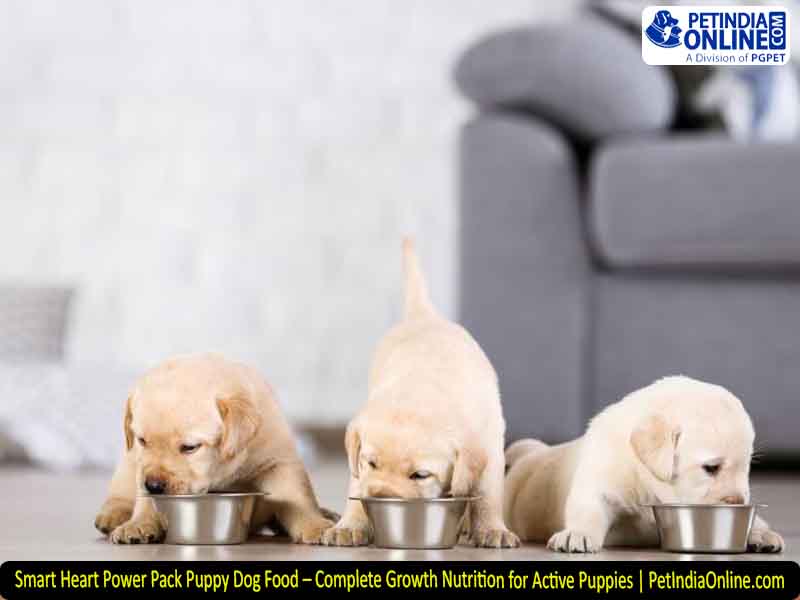 Smart Heart Power Pack Puppy Dog Food – Complete Growth Nutrition for Active Puppies | PetIndiaOnline.com