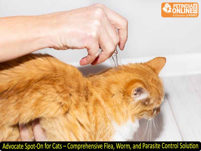 Advocate Spot-On for Cats – Comprehensive Flea, Worm, and Parasite Control Solution