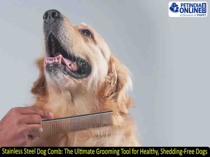 Stainless Steel Dog Comb: The Ultimate Grooming Tool for Healthy, Shedding-Free Dogs