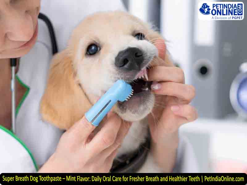 Super Breath Dog Toothpaste – Mint Flavor: Daily Oral Care for Fresher Breath and Healthier Teeth | PetIndiaOnline.com