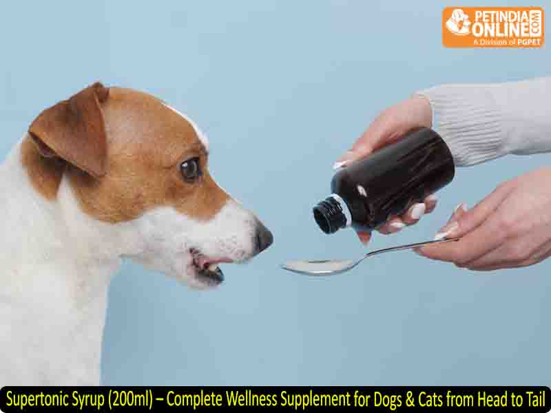 Supertonic Syrup (200ml) – Complete Wellness Supplement for Dogs & Cats from Head to Tail