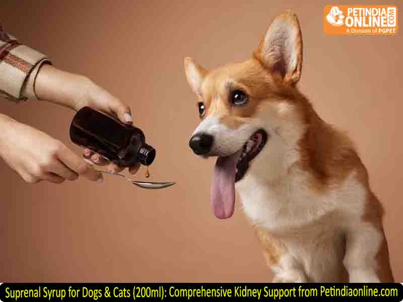 Suprenal Syrup for Dogs & Cats (200ml): Comprehensive Kidney Support from Petindiaonline.com