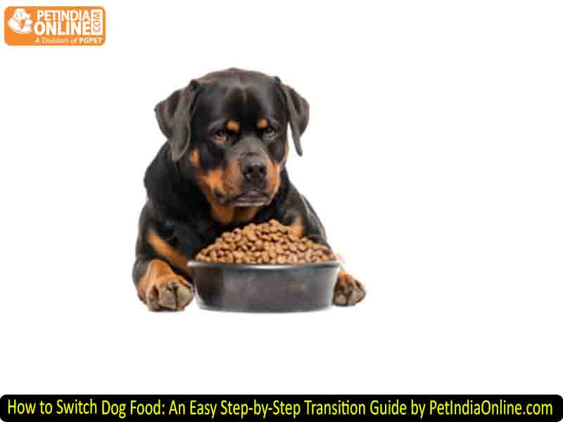 How to Switch Dog Food: An Easy Step-by-Step Transition Guide by PetIndiaOnline.com